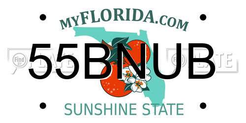 55BNUB Florida License Plate
