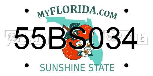 55BS034 Florida License Plate