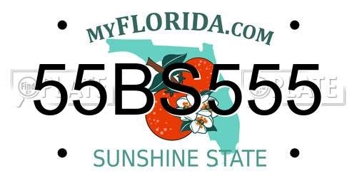 55BS555 Florida License Plate