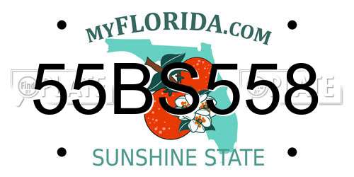 55BS558 Florida License Plate