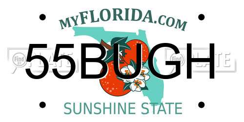 55BUGH Florida License Plate