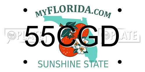 55CGD Florida License Plate