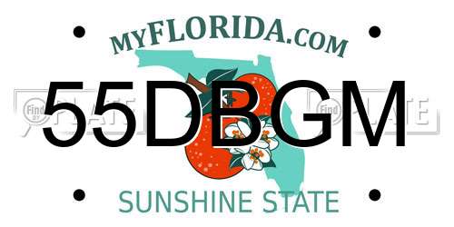 55DBGM Florida License Plate