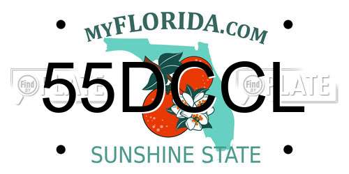 55DCCL Florida License Plate