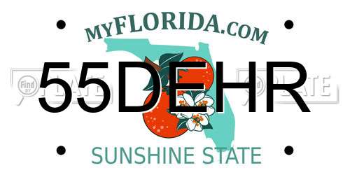 55DEHR Florida License Plate