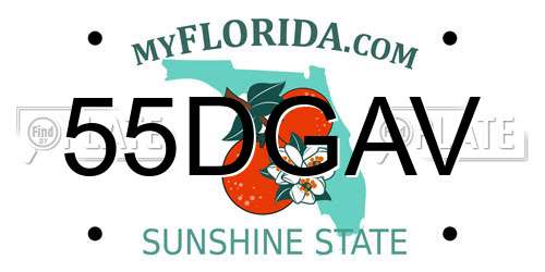55DGAV Florida License Plate