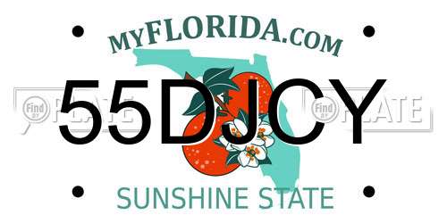 55DJCY Florida License Plate
