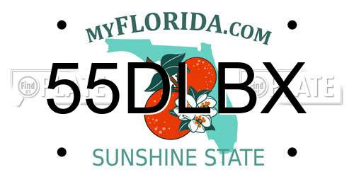 55DLBX Florida License Plate