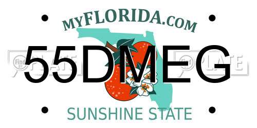 55DMEG Florida License Plate