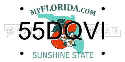 55DQVI Florida License Plate