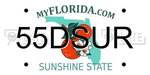 55DSUR Florida License Plate