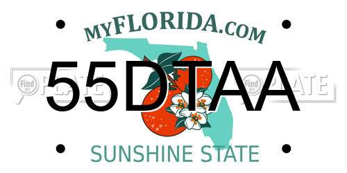 55DTAA Florida License Plate