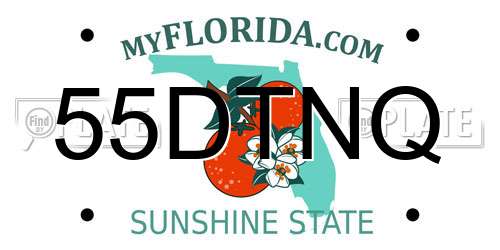 55DTNQ Florida License Plate