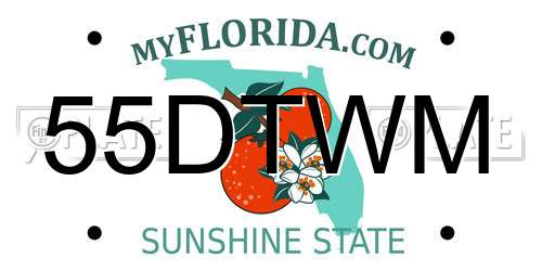 55DTWM Florida License Plate