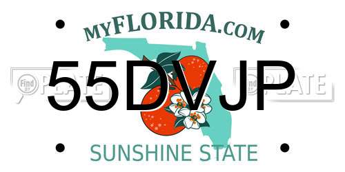 55DVJP Florida License Plate