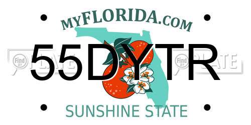 55DYTR Florida License Plate