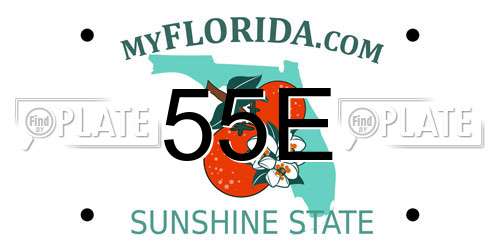 55E Florida License Plate