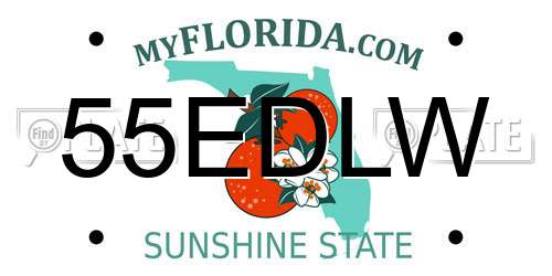 55EDLW Florida License Plate