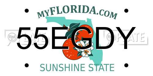 55EGDY Florida License Plate
