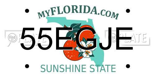 55EGJE Florida License Plate