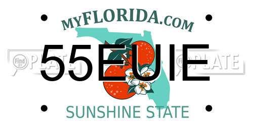 55EUIE Florida License Plate