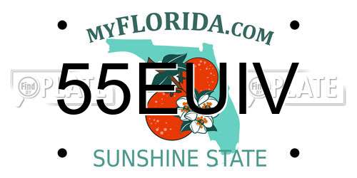 55EUIV Florida License Plate