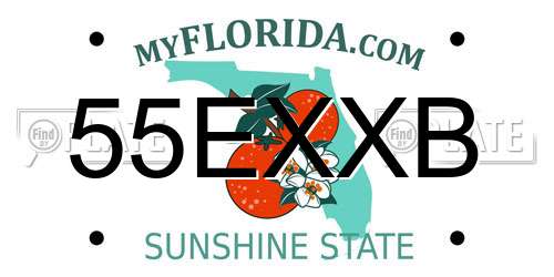 55EXXB Florida License Plate