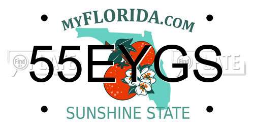 55EYGS Florida License Plate