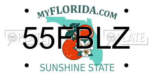 55FBLZ Florida License Plate