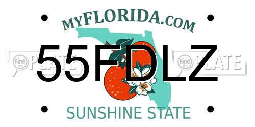55FDLZ Florida License Plate