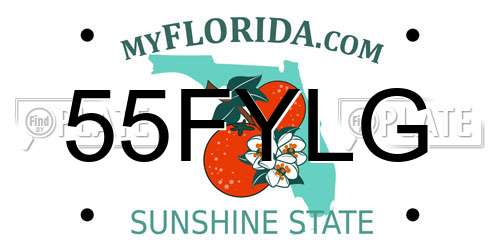 55FYLG Florida License Plate