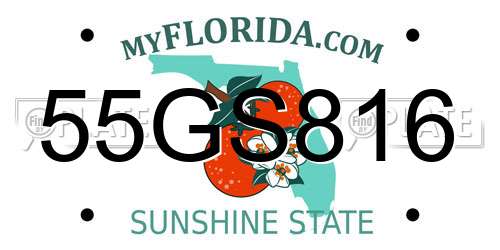 55GS816 Florida License Plate