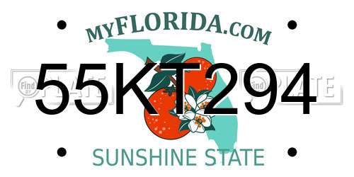 55KT294 Florida License Plate