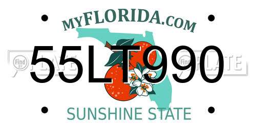 55LT990 Florida License Plate