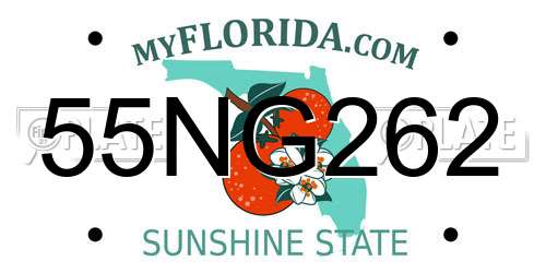 55NG262 Florida License Plate