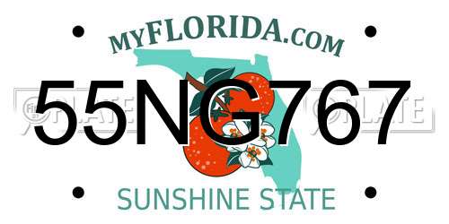 55NG767 Florida License Plate