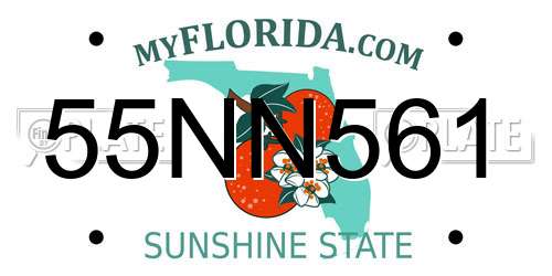 55NN561 Florida License Plate