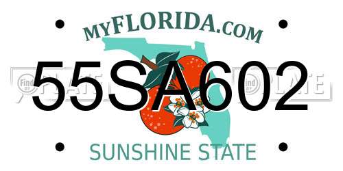 55SA602 Florida License Plate