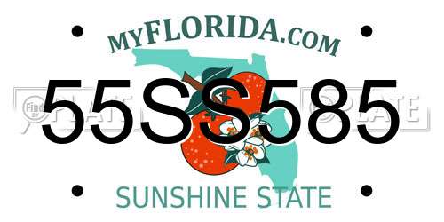 55SS585 Florida License Plate
