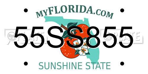 55SS855 Florida License Plate