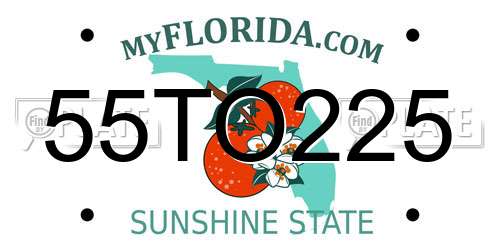 55TO225 Florida License Plate