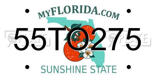 55TO275 Florida License Plate