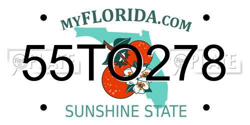 55TO278 Florida License Plate
