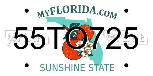 55TO725 Florida License Plate