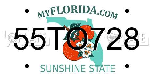 55TO728 Florida License Plate