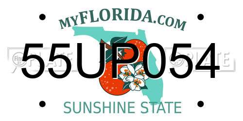 55UP054 Florida License Plate