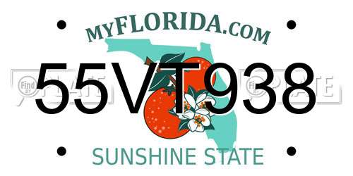 55VT938 Florida License Plate