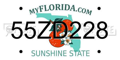 55ZD228 Florida License Plate