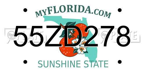 55ZD278 Florida License Plate