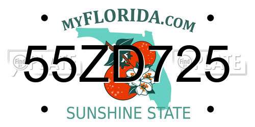 55ZD725 Florida License Plate